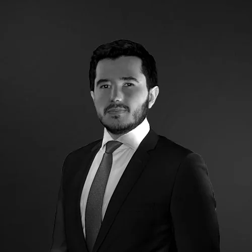 M. Bahadır Gözgü